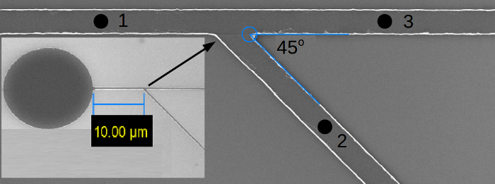 Vortex domain wall propagation on Y asymmetric lines