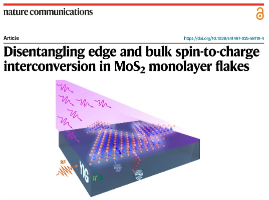 Spin current injection in MoS₂ triangular flakes — spin-to-charge conversion at center vs. edge